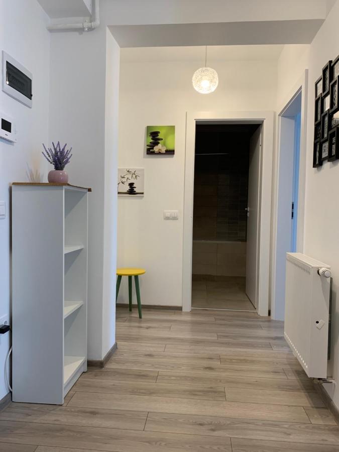 Apartament Sara Apartment Targu Mures Ngoại thất bức ảnh